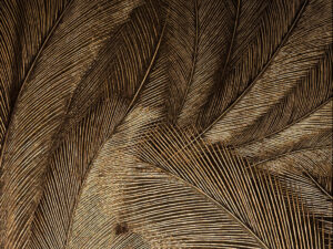 papel tapiz dorado,papel de colgadura elegante,papel tapiz plumas,papel tapiz moderno,decoración de interiores,papel tapiz premium,papel tapiz lujo,papel tapiz sala,papel tapiz dormitori