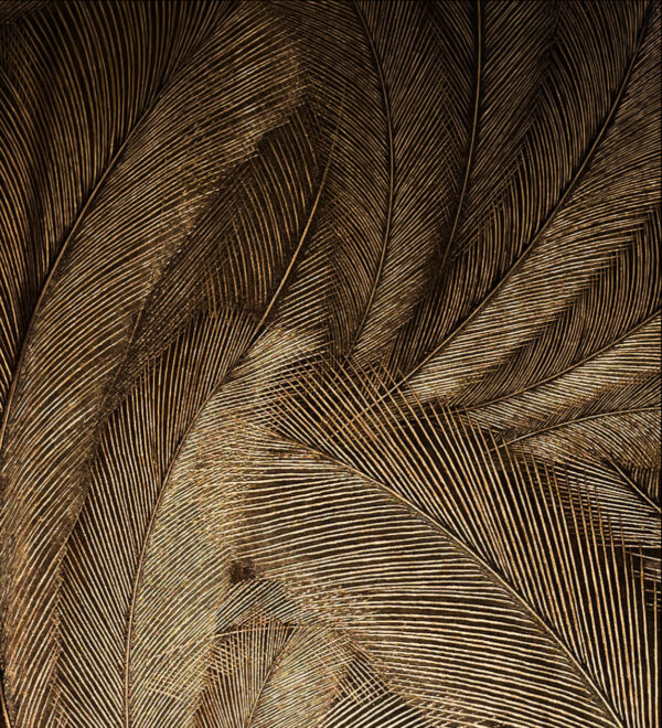 papel tapiz dorado,papel de colgadura elegante,papel tapiz plumas,papel tapiz moderno,decoración de interiores,papel tapiz premium,papel tapiz lujo,papel tapiz sala,papel tapiz dormitori