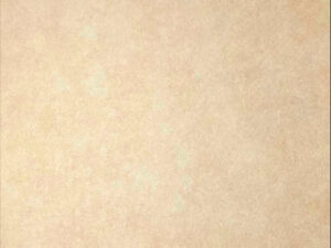 papel de colgadura textura beige con brillo sutil premium | elegancia y versatilidad atemporal | ref 10473 05